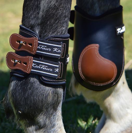 Kentaur 'Roma' Hind Boots - Equine Central