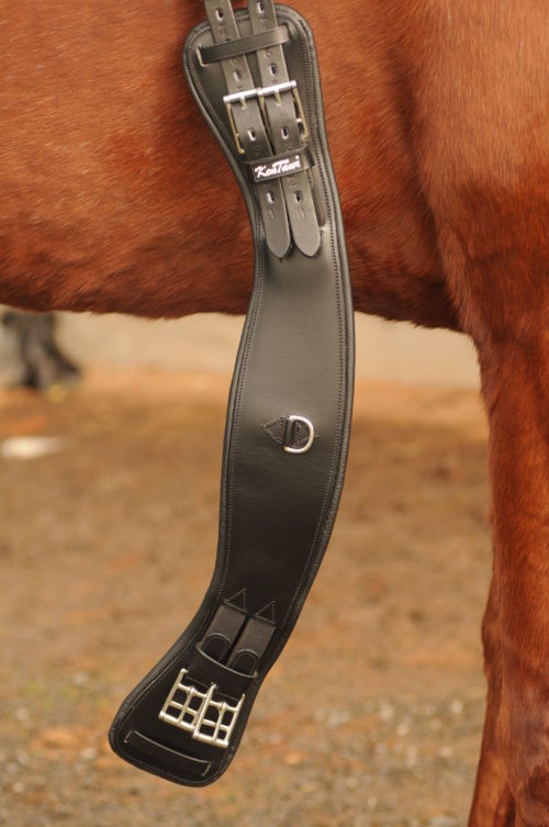 Kentaur Australia - Leather 'Bit' Dog Collar